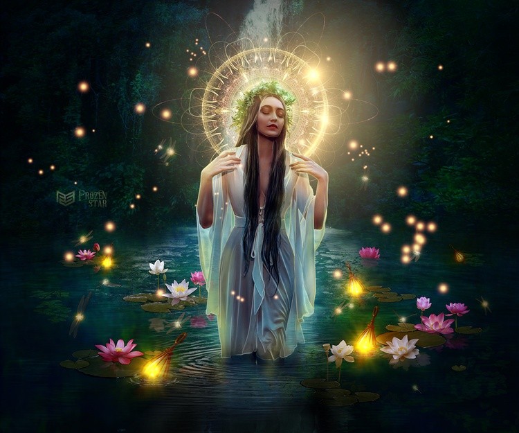 lady of the lake web