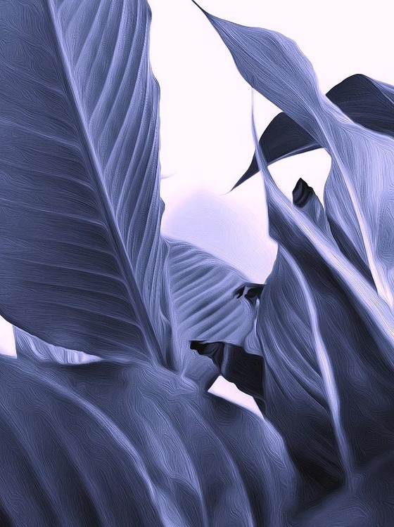 778D0266-FF8D-47B6-87C5-C08D4F28FF7F