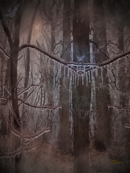 Strange Occurrence On A Peculiar Trail