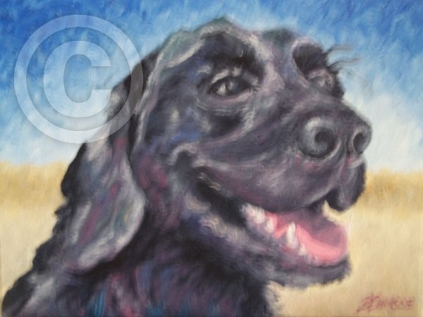 Cathy's Dog