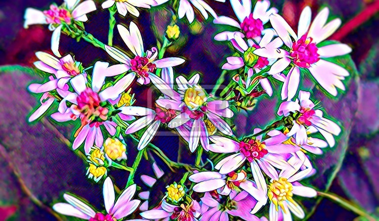 Wildflower Bouquet