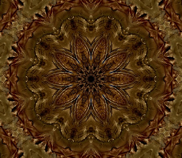Golden Fractal