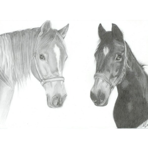 Mystral & Shadow!!