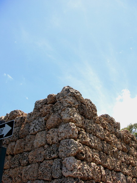 Coral Wall
