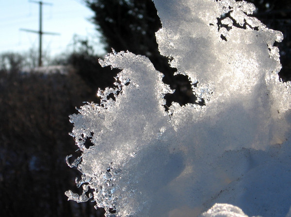 Ice Lace #2