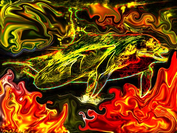 Into the Fire