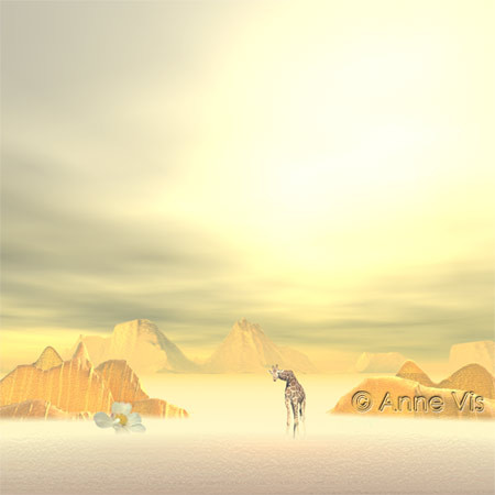 Light in the Desert
