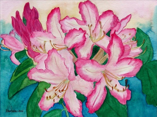 Backyard Rhodies