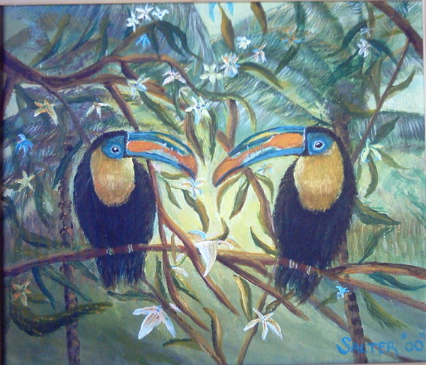 tucans of costa rica