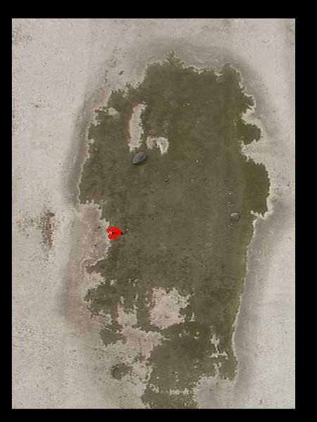 found profile