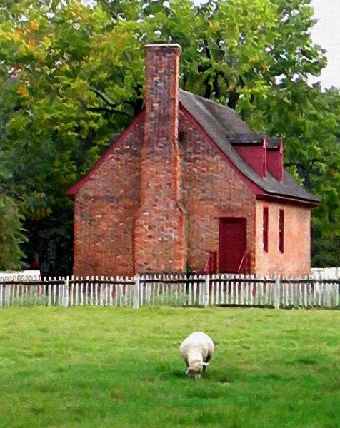 Grazing
