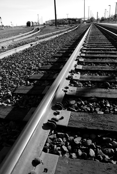 Stay On Track- Black and White