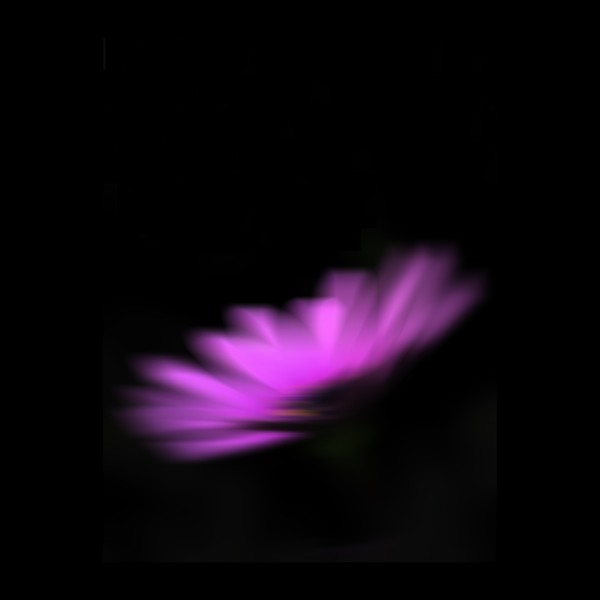 LA VIE EN ROSE