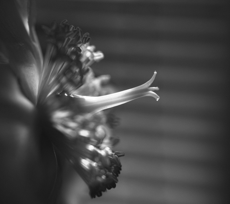 Light-beam