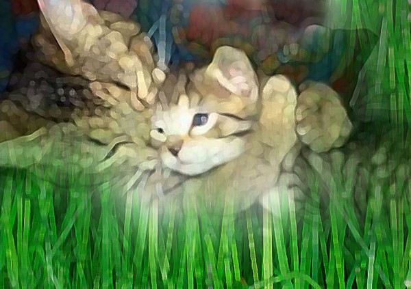 Unconditional love