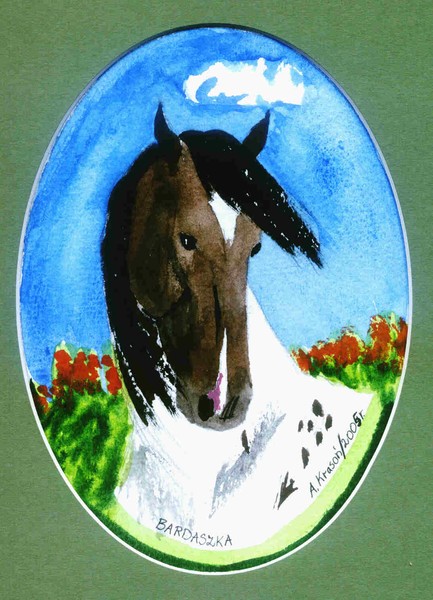 Bardaszka
