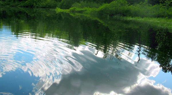 Ripples