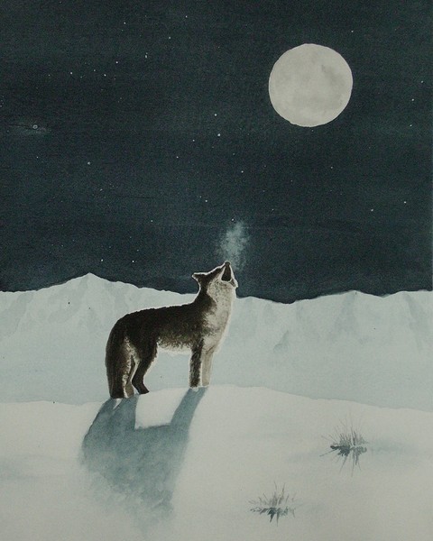 Coyote Breath