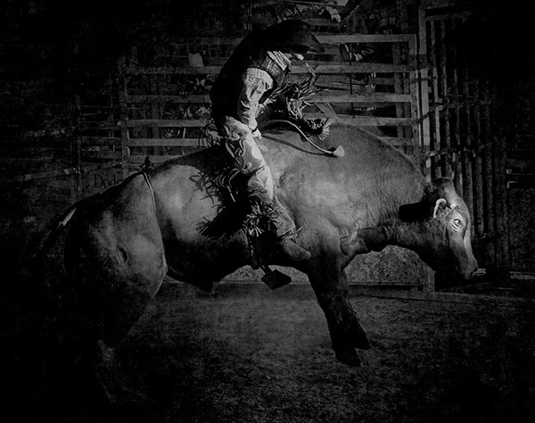Bull Riding