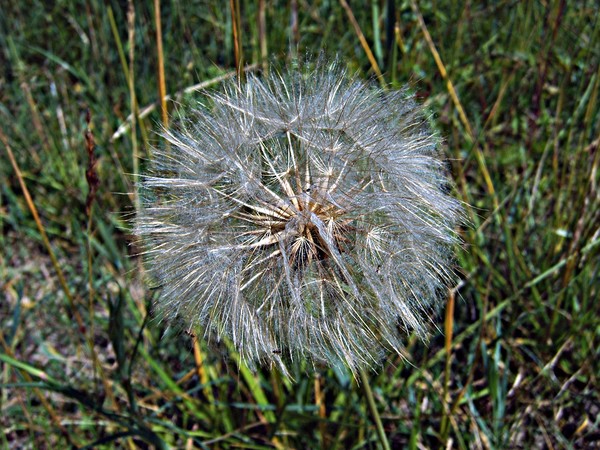 Blow it away