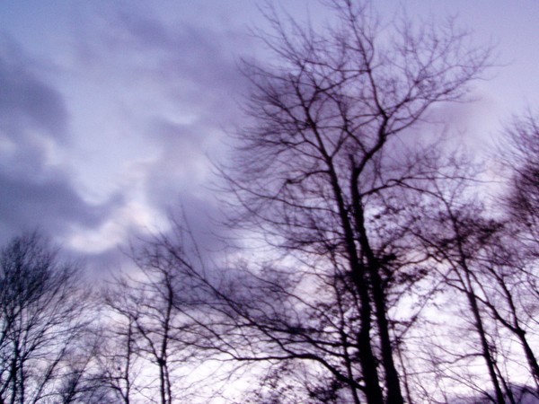 cold november evening