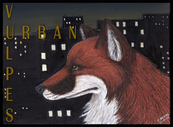Urban Vulpes