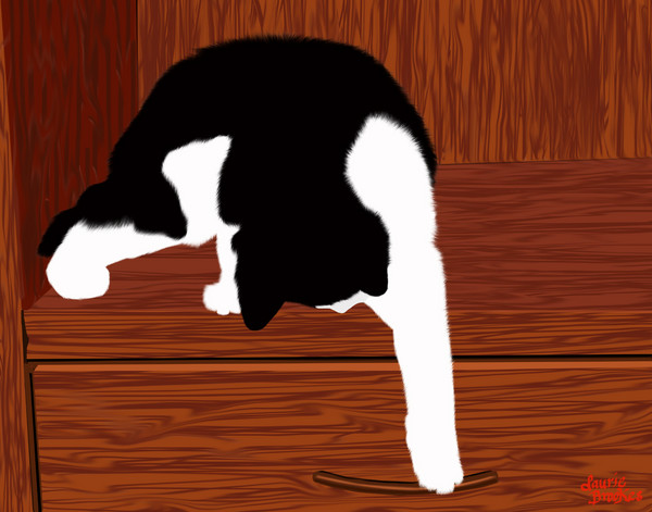 Cat Burglar