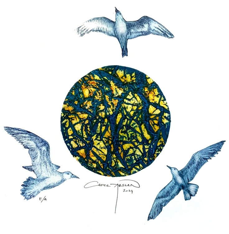 Three seagulls