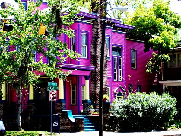 The pink house