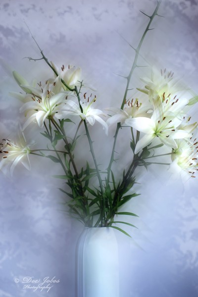 Transforming Beauty