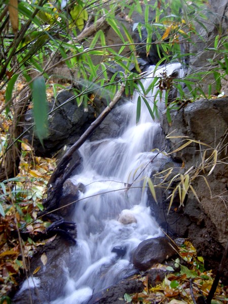 Flowing Peacefully