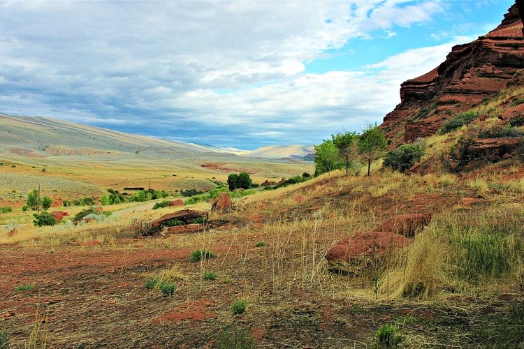 Wyoming Desert