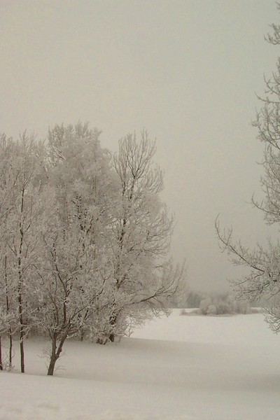WhiteOut