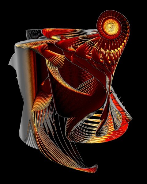 Tiger Nautilus