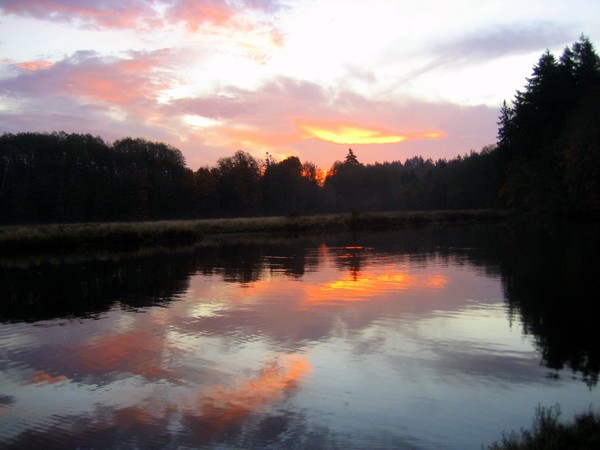 The River