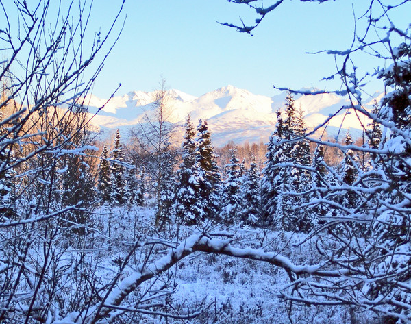 Winter 2006 Is Here!