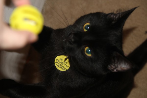 You want to give me the ball mommy...