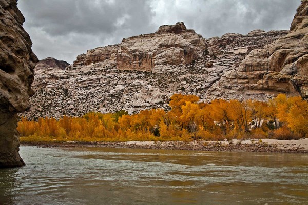 Green River Reflections