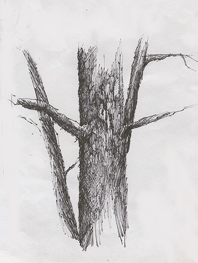 Tree study