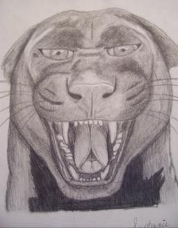 Panther