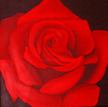 big red rose