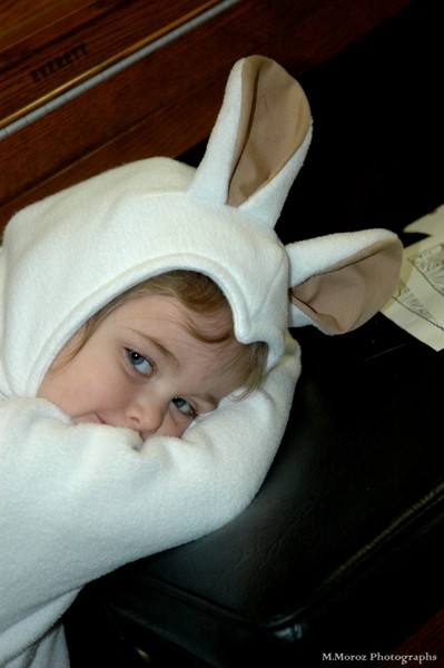 tired little lamb