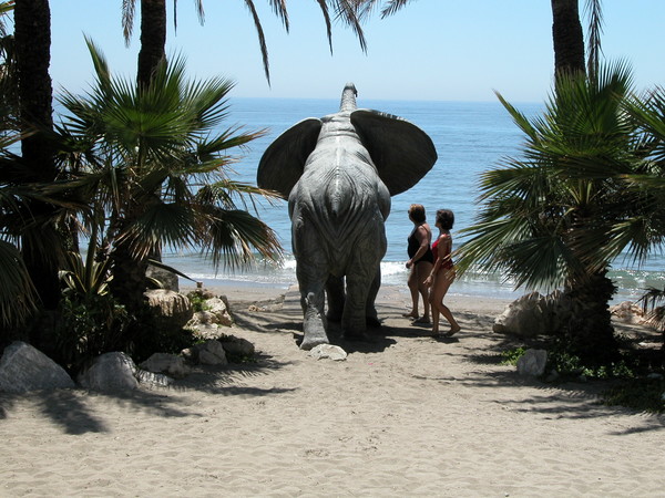 Stranger in Paradise, Marbella