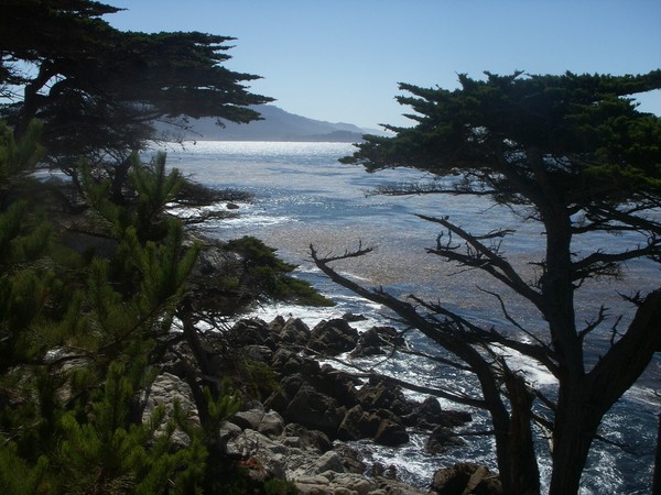 View of Ocean