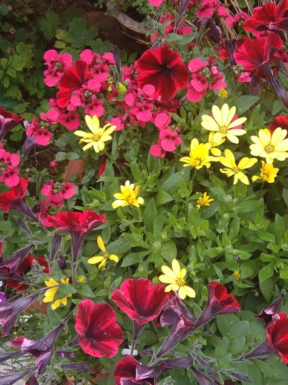 Planter