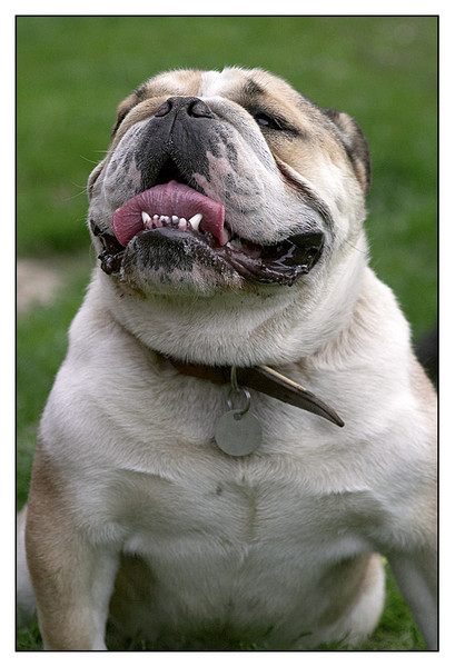 Droopy - Outside