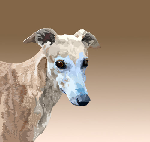 Greyhound