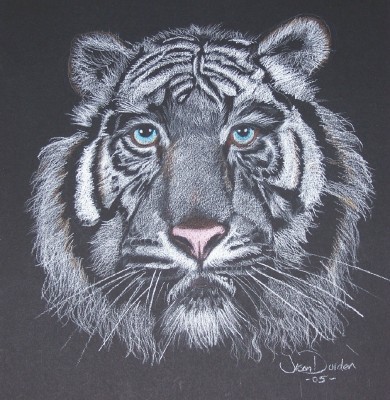tiger