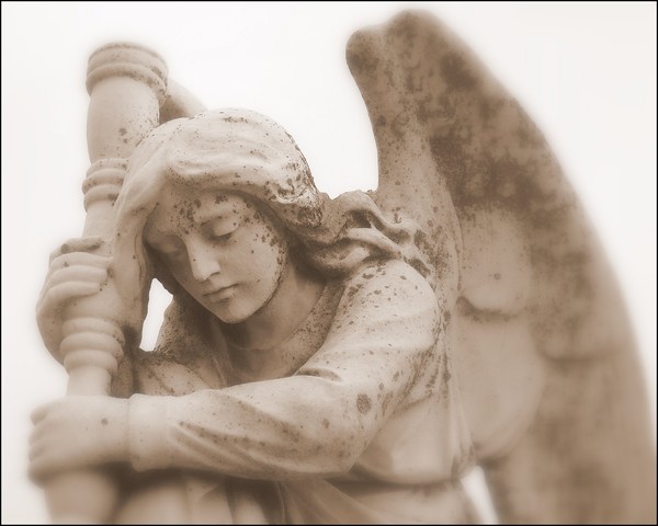 Rachels Angel