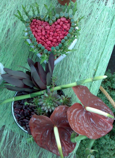 Still Life